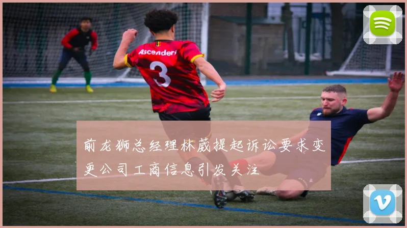 前龙狮总经理林葳提起诉讼要求变更公司工商信息引发关注